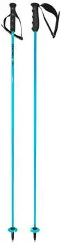 Head Worldcup Rebels Carbon Skistöcke 115 cm (381215) speed blue