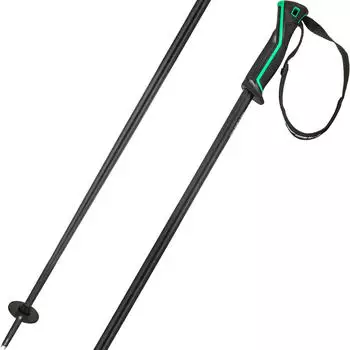 Head Frontside Stöcke 120 cm 2026 (381156) black/green