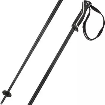 Head Frontside Stöcke 120 cm 2026 (381555) black/grey
