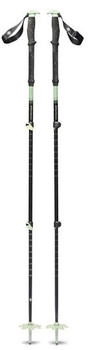 Black Diamond Expedition 3P Ski Poles desert sage