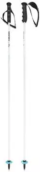 Head Worldcup Rebels Carbon (94820001) white/blk/speed blue