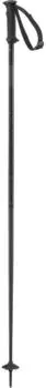 Salomon Polar Access black