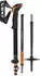 Leki Sherpa FX Carbon Strong (2023)