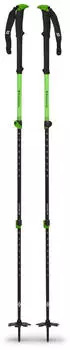 Black Diamond Expedition WR 3 Ski Poles (2023)