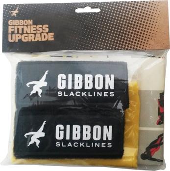 Gibbon Fitness Upgrade