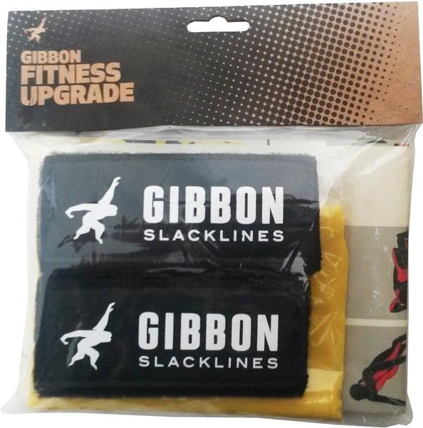 Gibbon Fitness Upgrade