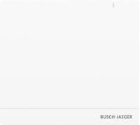 System Access Point 2.0 BUSCH-JAEGER SAP/S.13