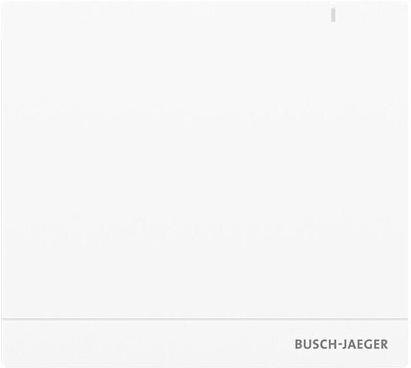Busch-Jaeger SAP/S.13 System Access Point 2.0