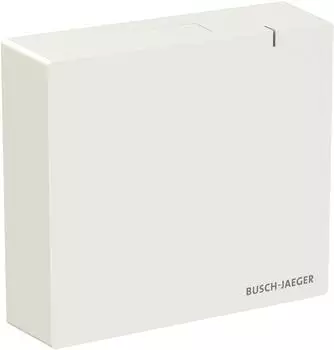 Busch-Jaeger System Access Point 3.0 SAP.13 (2CKA006200A0868)