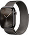 Apple Watch Series 10 4G 46mm Titan Schiefer Milanaise Schiefer M/L