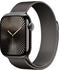 Apple Watch Series 10 4G 42mm Titan Schiefer Milanaise Schiefer