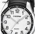 Calypso K5843/1