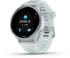 Garmin Forerunner 570 42mm Steinweiss/Cloud Blue/Transparent Steinweiss/Cloud Blue