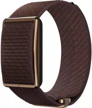 Polar Loop Gen2 Brown Copper