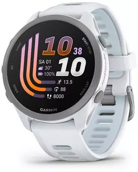 Garmin Forerunner 170 Steinweiss