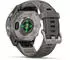 Garmin fenix® 9 43mm Kieselgrau/Titan mit Silikon-Armband