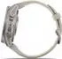 Garmin fenix® 9 43mm Nebelgrau/Titan mit Silikon-Armband