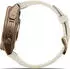 Garmin fenix® 9 Pro 43mm Autumn Gold Titan mit Silikon-Armband Creme/French Gray LTE