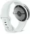 Google Pixel Watch 5 45mm Bluetooth Polished Silver/Fog