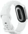 Fitbit Edge Fog/Satin Silver