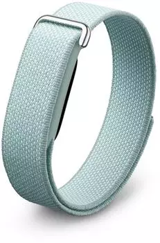 Fitbit Air