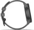 Garmin Approach S12 2022 Edition slate grey (010-02472-13)