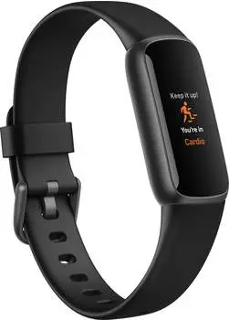 Fitbit Luxe Black / Graphite Stainless Steel