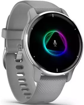 Garmin Venu 2 Plus silber/grau Silikon