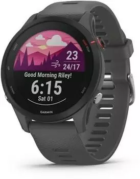 Garmin Forerunner 255 schiefergrau