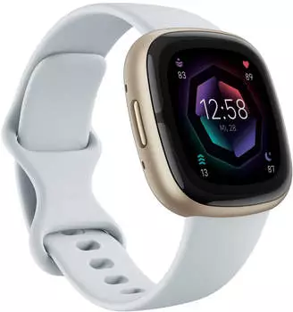 Fitbit Sense 2 Nebelblau/Aluminium in Softgold