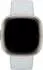 Fitbit Sense 2 Nebelblau/Aluminium in Softgold