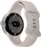 Google Pixel Watch 4G Polished Silver Sportarmband Chalc