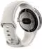 Google Pixel Watch Bluetooth Polished Silver Sportarmband Chalc