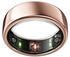 Oura Ring Gen3 Horizon