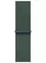 Apple Sport Loop 42mm Seegrün