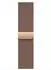 Apple 42mm Milanaise Armband 2024 Gold