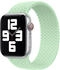 Apple Geflochtenes Solo Loop 42mm