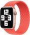 Apple Geflochtenes Solo Loop 42mm