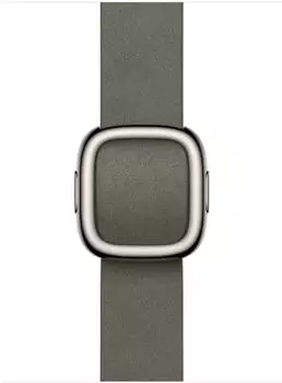 Apple Moderne Schlie&szlig;e 42mm Silbergrau Large