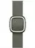 Apple Moderne Schließe 42mm