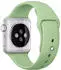 Apple 22mm green smartwatch strap