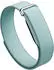 Fitbit Performance Band for Air Fog