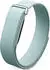 Fitbit Performance Band for Air Fog