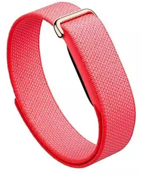 Fitbit Performance Band for Air Berry