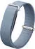 Fitbit Premium Band for Air Moonstone