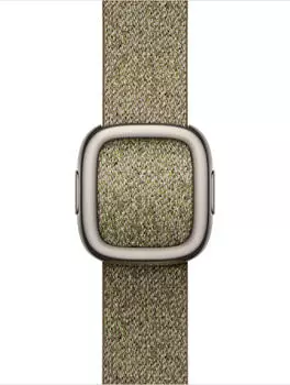 Apple Moderne Schließe 42mm