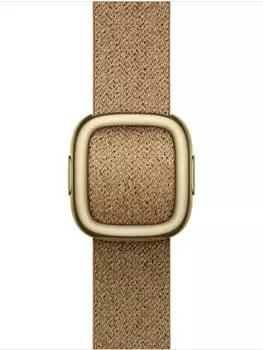 Apple Moderne Schließe 42mm