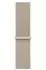Apple Sport Loop