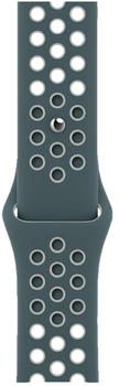 Apple Nike Sport 44mm Hasta/Light Silver