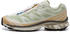 Salomon XT-6